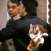 Sylvester Stallone II Rocky Balboa Tiger Jacket